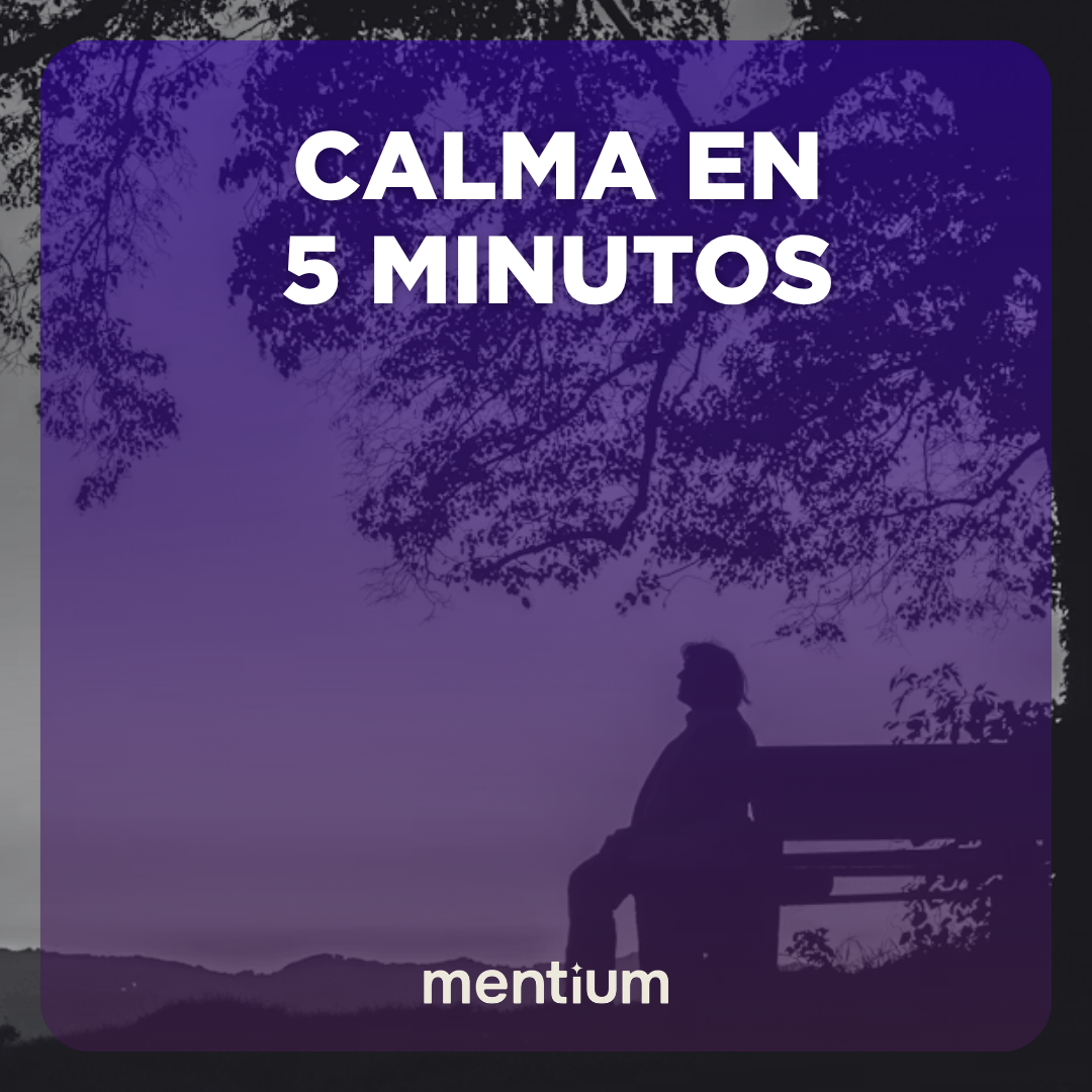 Calma en 5 Minutos - Ebook
